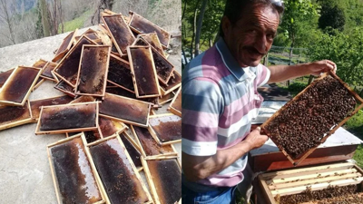 Bilirkişi uyarmıştı, arılar ölmeye başladı. Cengiz İnşaat'ın taş ocağı yaptığı İşkencedere Vadisi'nde zararlar ortaya çıkmaya başladı