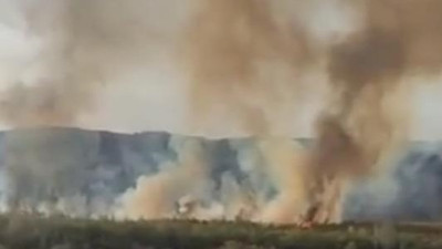 Ermenistan'da orman yakıldı alevler Türkiye sınırına dayandı