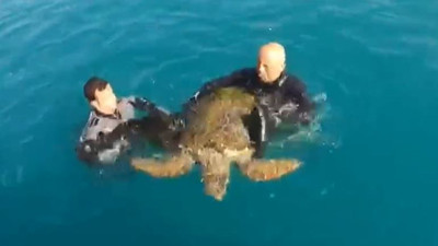 Sahil Güvenlik’ten caretta caretta kurtarma operasyonu