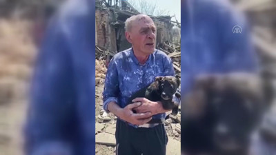 Savaşın gölgesinde duygulandırılan anlar. Kurtarma ekibi yıkıntıların arasındaki yavru köpeği sağ çıkardı