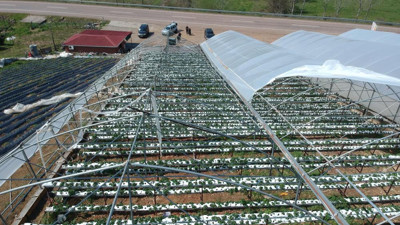 Fırtına çilek serasını uçurdu