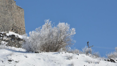 Nisanın ortasında ağaçlar bile buz tuttu