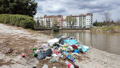Eskişehir’de çevre katliamı