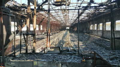 Çiftlikte yangın çıktı, 4 bin tavuk telef oldu