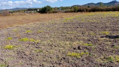 Mardin Artuklu’da icradan satılık tarla
