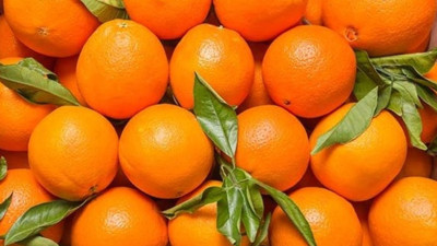 Rusya'dan Türkiye kararı biber portakal ihracatında kısıtlamalar kaldırıldı