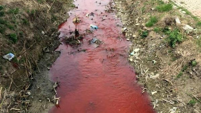 Tekirdağ'da 40 gün sonra yine aynı görüntü. Marmara Denizi'ne dökülüyor