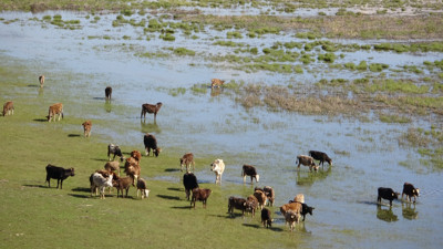Hakkari'de Afrika'yı aratmayan görüntüler