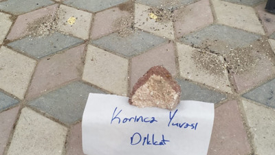 Elazığ'dan duygulandıran not: Karınca yuvası dikkat!