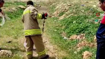 Bahçeye çıkan kadın göz göze geldi. Çığlığı bastı