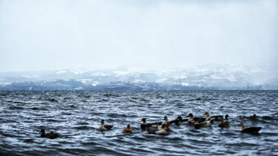 Sapanca Gölü birinci sınıf