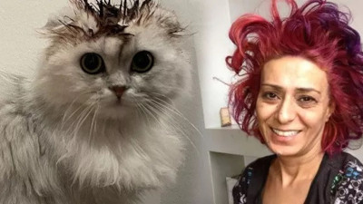 Yıldız Tilbe kedisinin tüylerini boyadı! Sosyal medya ayağa kalktı