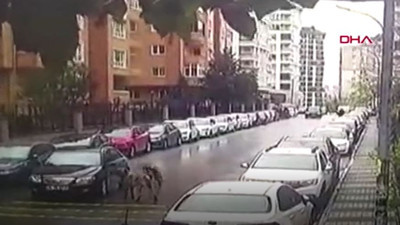 İstanbul'da köpek vahşeti! Yoldan geçen adamın her yerini ısırdılar... Nerede bu devlet, nerede bu belediyeler