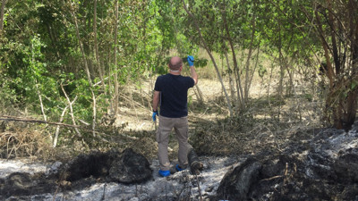 Ağaçlık alanda kafatası ve insan bedeni parçaları bulundu