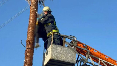 Budamak için ağaca çıkan adam yaşamını yitirdi