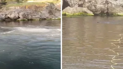 Heybeliada'da denize lağım suyu karıştı