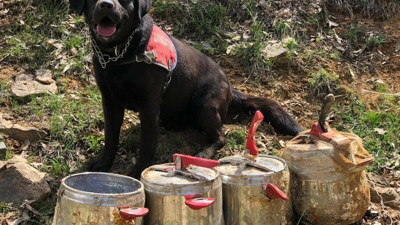 Bingöl'de 4 farklı noktada düdüklü tencere içerisinde EYP ele geçirildi