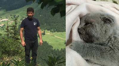 Kedi katiline 2 yıl hapis! Eşine sinirlenip duvara fırlatmıştı...