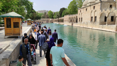 Balıklıgöl'de korkutan manzara. Birer birer ölüyorlar