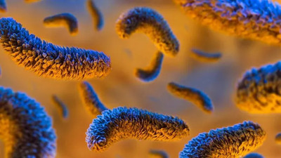 DSÖ, Salmonella vakası görülen ülkeleri açıkladı