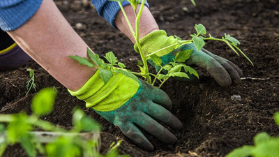 Zonguldak Çaybel personel alacak (28 Nisan 2022)