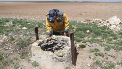 Konya'da kış uykusundan uyanan yılanlar kuyulardan fışkırıyor