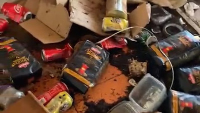 Aç kalan ayılar işletmeyi talan etti