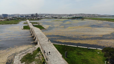 Büyükçekmece Gölü’nde büyük tehlike. 1 haftada 10 ton çıktı