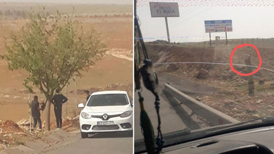 Bir ağaç için köşkün yerini kaydıran Atatürk'ün ülkesi bu mu