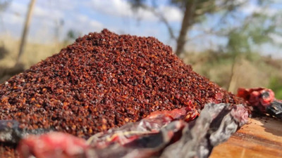 İnanılmaz hile: Meğer talaş tozu yiyormuşuz