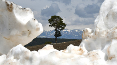 Görenler hayret ediyor. Sarıkamış'ta aynı anda iki mevsim
