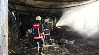 Çiftlikte çıkan yangında yüzlerce hayvan öldü