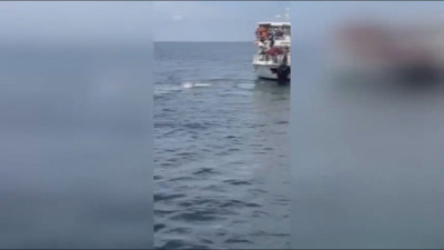 Polis Adalar Belediyesi’nin teknesinin Maltepe’ye yanaşmasına izin vermeyince CHP Adalar İlçe Başkanı Akpolat yüzerek kıyıya çıktı