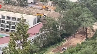 Otelin sahibi Ürdünlü çıktı. Bodrum'da sahili doldurup ağaçları katlettiler