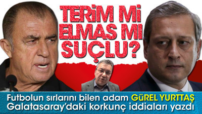 Elmas mı suçlu, Terim mi