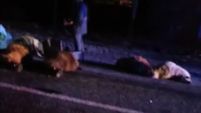 Koyun sürüsünü otomobil biçti