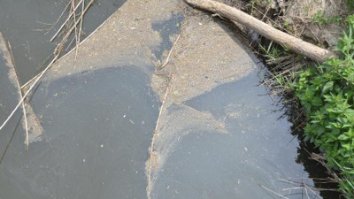 Gönen ve Susurluk çaylarındaki kirlilik hastalık saçıyor. Marmara'ya zehir akıyor