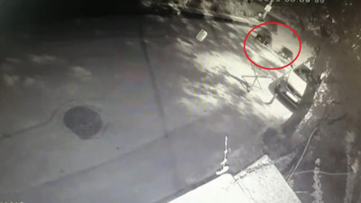 Ayı ailesi üstlerine yönelince çığlık atıp kaçacak delik aradılar