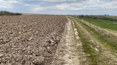 Tekirdağ Hayrabolu’da icradan satılık tarla (06 Mayıs 2022)