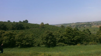 Kocaeli Kandıra’da icradan satılık tarla