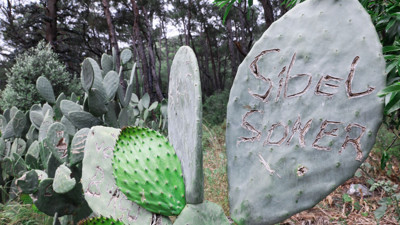 Sizin aşk yaranız varsa kaktüslerin günahı ne.. Kaktüsler kaktüs olalı böyle zulüm görmedi