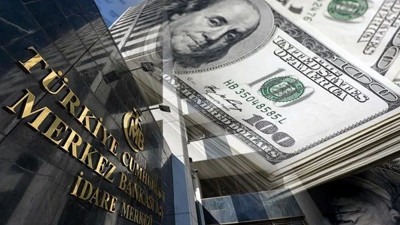 FED’in Türk ekonomistinden Merkez Bankası için kritik uyarı. Döviz rezervleri için ne yapılması gerektiğini açıkladı