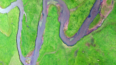 Iğdır’da ilkbahar renklerinin görsel şöleni görenleri büyüledi