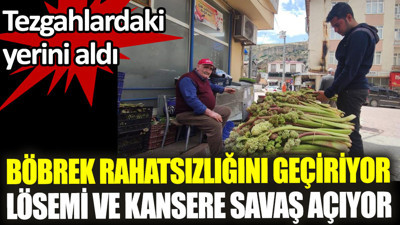 Işkın otu böbrek rahatsızlığını geçiriyor lösemi ve kansere savaş açıyor