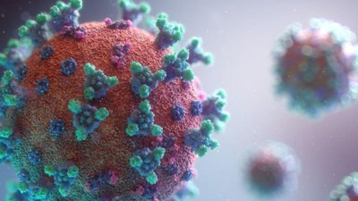 Yeni salgın korkuttu | Vaka sayılarında korkunç artış