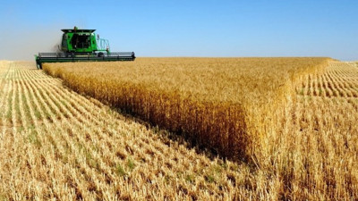 Uşak Banaz’da icradan satılık tarım arazisi