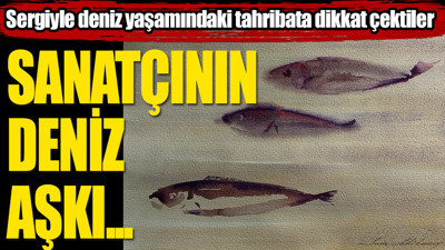 Ressamlar sergi açtı, deniz yaşamındaki tahribata dikkat çekti...