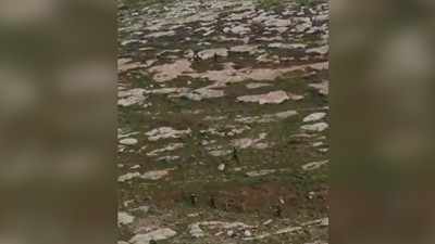 Hani sınırlar çok iyi korunuyordu? Suriyeliler sınırdan oluk oluk böyle geçti