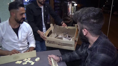 Yok böyle bir olay. Okey masasında doğum