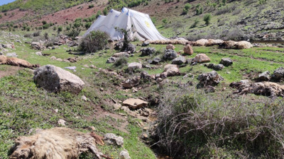 Batman'da esrarengiz olay. Ahıra giren çoban gözlerine inanamadı